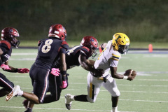 5Y3A4414